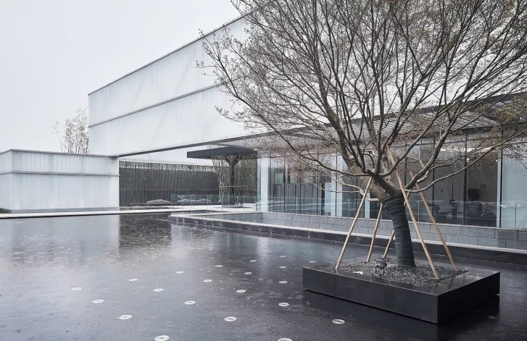 1560571603629208.jpg 01.jpg