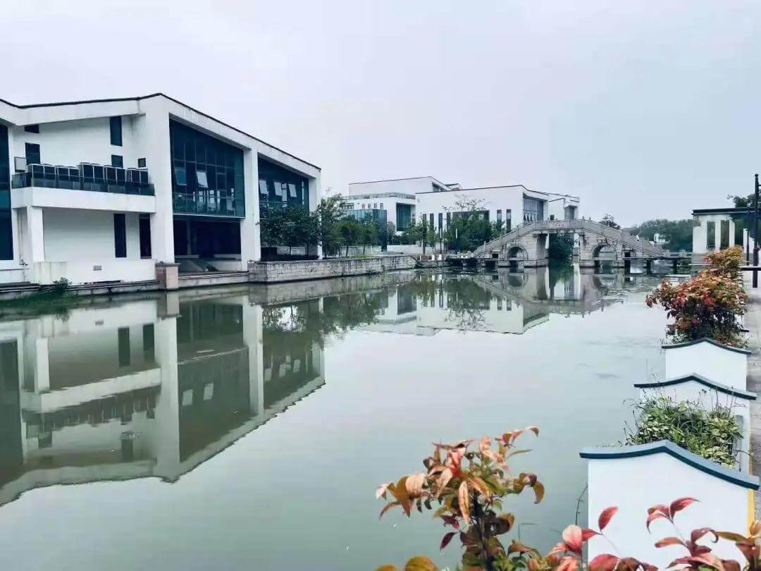 1629861853513867.jpg 1629861853513867.jpg